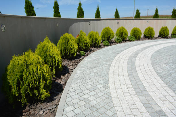 Best Brick Driveway Pavers  in Oracle, AZ